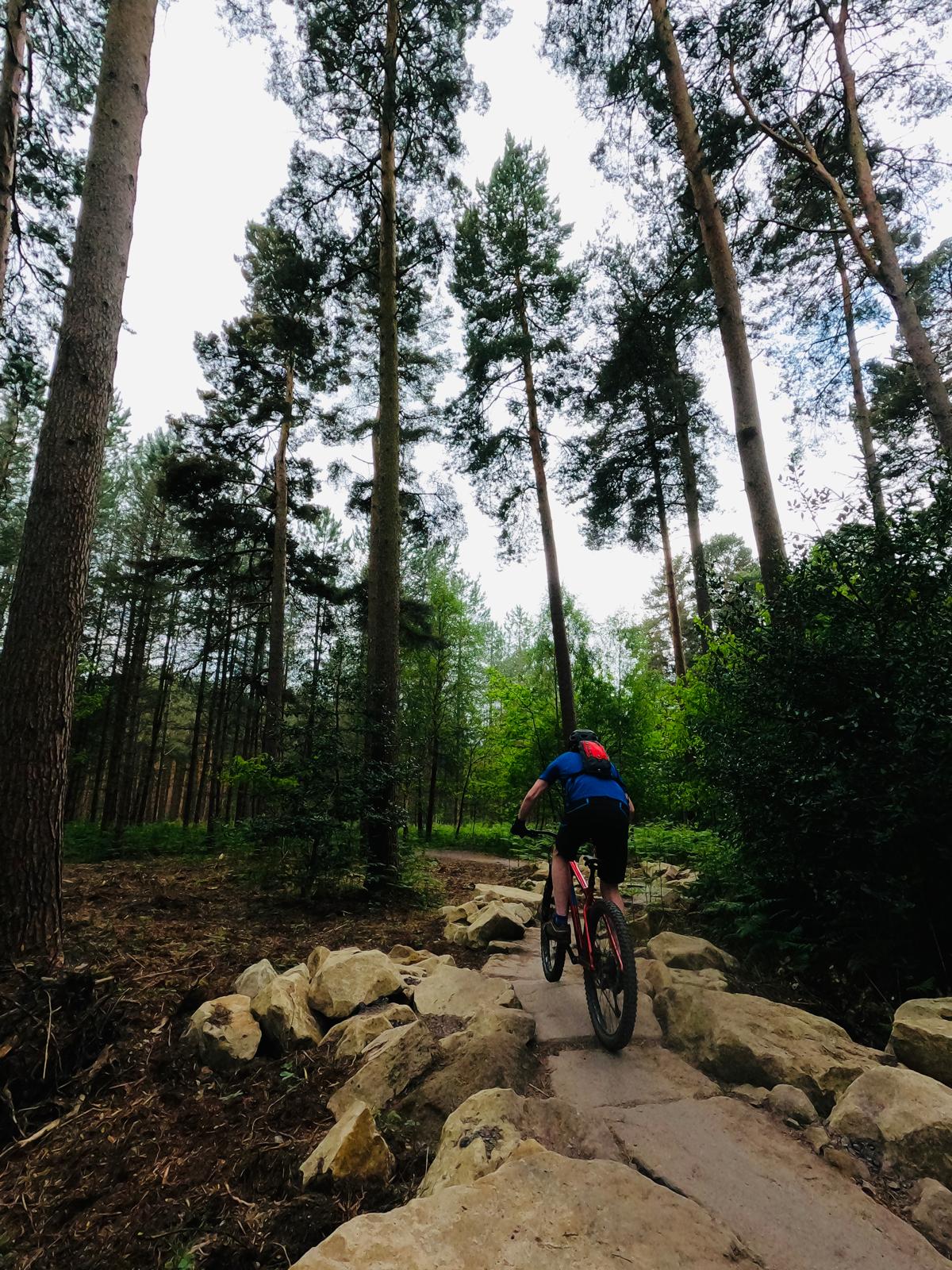 Cannock Chase mountain bike trails